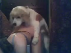 A brunette Polish woman loves to have sex with her dog on video.